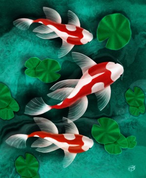 red White Goldfish